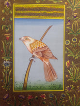 Load image into Gallery viewer, Beautiful Bird on Special Paper Miniature Painting - ArtUdaipur