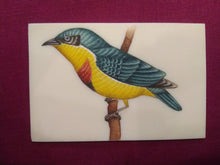 Load image into Gallery viewer, Bird Collection For Art Lovers