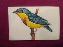 Load image into Gallery viewer, Bird Birds Nature Wild Life Flora and Fauna