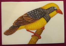 Load image into Gallery viewer, Baby Sparrow Bird Birds Miniature Painting India Art Synthetic Ivory - ArtUdaipur