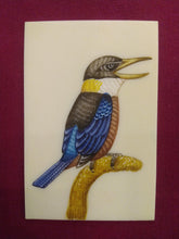 Load image into Gallery viewer, HandPainted Angry KingFisher Bird Indian Miniature Painting - ArtUdaipur