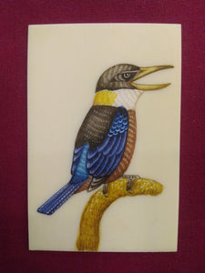HandPainted Angry KingFisher Bird Indian Miniature Painting - ArtUdaipur