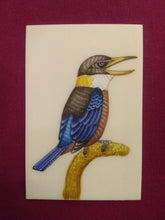 Load image into Gallery viewer, HandPainted Angry KingFisher Bird Indian Miniature Painting - ArtUdaipur