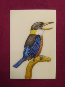 HandPainted Angry KingFisher Bird Indian Miniature Painting - ArtUdaipur
