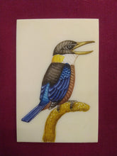 Load image into Gallery viewer, HandPainted Angry KingFisher Bird Indian Miniature Painting - ArtUdaipur
