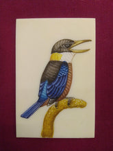 Load image into Gallery viewer, HandPainted Angry KingFisher Bird Indian Miniature Painting - ArtUdaipur