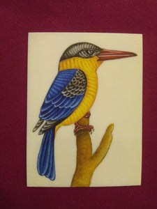 HandPainted KingFisher Bird Miniature Painting on Synthetic Ivory - ArtUdaipur