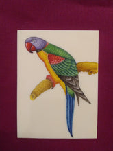 Load image into Gallery viewer, Beautiful Exotic Parrot Bird Painting Indian Miniature Painting - ArtUdaipur