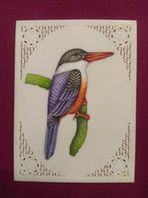 Load image into Gallery viewer, ColorFul Common KingFisher