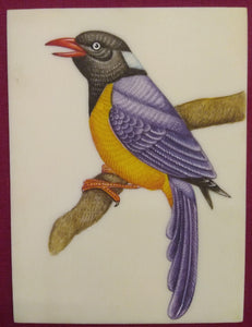 Hand Painted ColorFul Bird on Synthetic Ivory Miniature Painting - ArtUdaipur