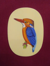 Load image into Gallery viewer, Cute Baby KingFisher on Synthetic Ivory ColorFul Exotic - ArtUdaipur
