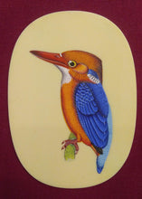 Load image into Gallery viewer, Cute Baby KingFisher on Synthetic Ivory ColorFul Exotic - ArtUdaipur