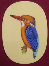 Load image into Gallery viewer, Cute Baby KingFisher on Synthetic Ivory ColorFul Exotic - ArtUdaipur