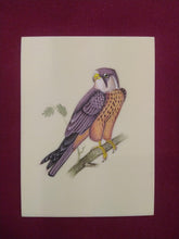 Load image into Gallery viewer, Hand Painted Sparrow Bird Art Collection Indian Painting - ArtUdaipur