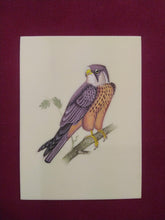 Load image into Gallery viewer, Hand Painted Sparrow Bird Art Collection Indian Painting - ArtUdaipur