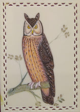 Load image into Gallery viewer, Owl Bird Painting Art