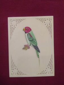 Beautiful Parrot Bird Bird Miniature Painting India - ArtUdaipur