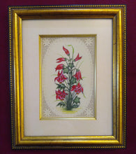 Load image into Gallery viewer, Framed Flower Art Work
