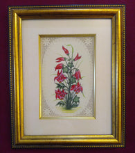 Load image into Gallery viewer, Framed Flower Art Work