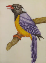 Load image into Gallery viewer, KingFisher Bird