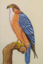 Load image into Gallery viewer, Eagle Bird Art Collection Interior