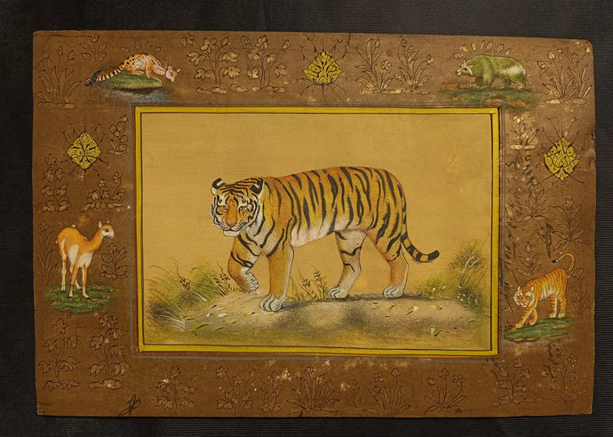 Exquisite Tiger & Wildlife Art, Deer Indian Miniature Painting
