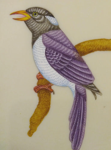 Bird Painting