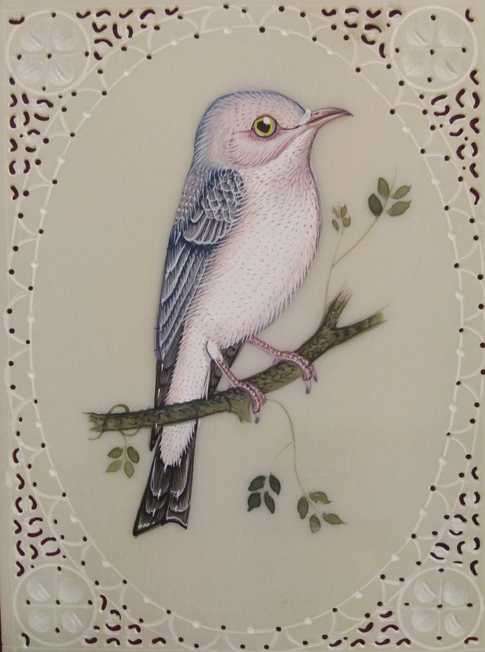 Sparrow Bird