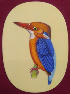 KingFisher Bird Home Decor Collection Art