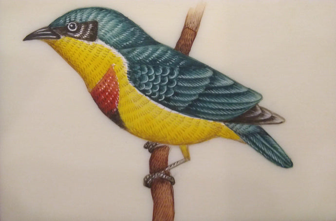 Bird Interior Home Decor