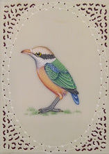 Load image into Gallery viewer, Birds Art Collection Nature Lover
