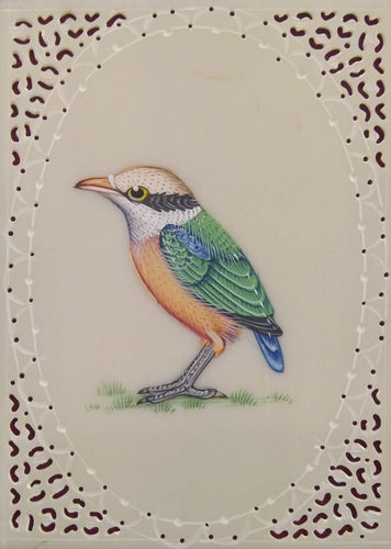Birds Art Collection Nature Lover