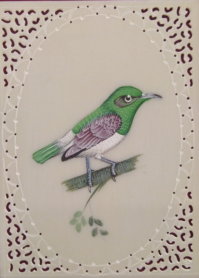 Birds