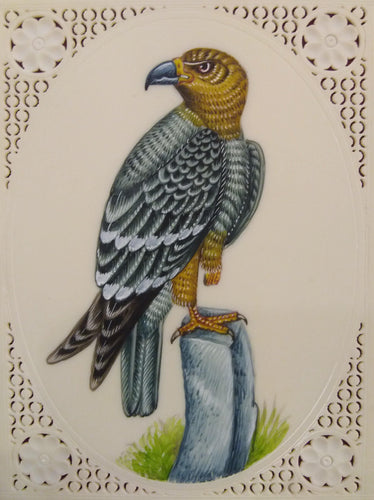 Eagle Bird Art Collection Interior