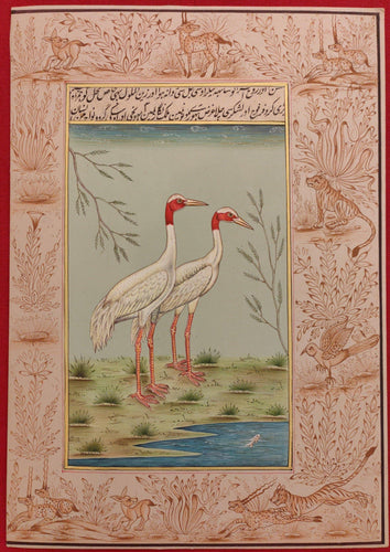 Ostrich Bird Paper Painting Art Collection