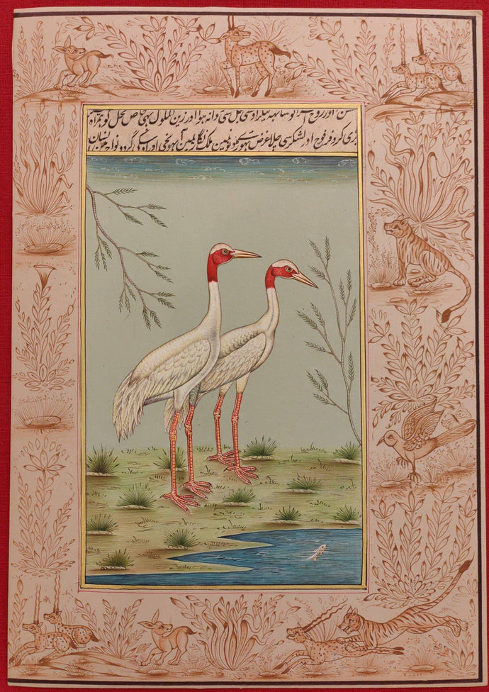 Ostrich Bird Paper Painting Art Collection