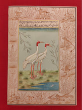 Load image into Gallery viewer, Beautiful Hand Painted Ostrich Bird On Paper Art - ArtUdaipur
