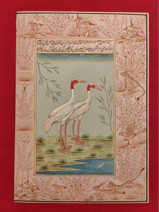 Beautiful Hand Painted Ostrich Bird On Paper Art - ArtUdaipur