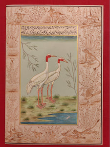 Beautiful Hand Painted Ostrich Bird On Paper Art - ArtUdaipur