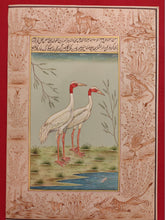 Load image into Gallery viewer, Beautiful Hand Painted Ostrich Bird On Paper Art - ArtUdaipur
