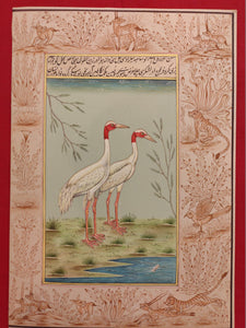 Beautiful Hand Painted Ostrich Bird On Paper Art - ArtUdaipur