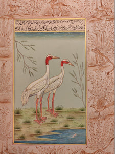 Beautiful Hand Painted Ostrich Bird On Paper Art - ArtUdaipur