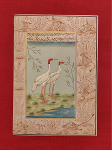 Beautiful Hand Painted Ostrich Bird On Paper Art - ArtUdaipur