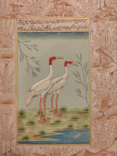 Load image into Gallery viewer, Beautiful Hand Painted Ostrich Bird On Paper Art - ArtUdaipur
