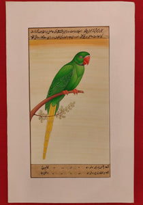 Hand Painted Parrot Bird Birds Miniature Painting India Artwork Paper Nature - ArtUdaipur