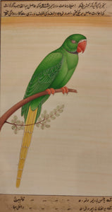 Parrot Bird Painting Artwork