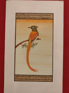 Bird Birds Painting