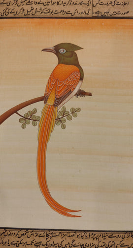 Birds Painting Artwork Nature