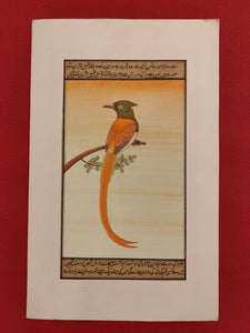 Indian Miniature Painting on Paper