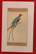 Load image into Gallery viewer, Handmade Bird Collection on Paper
